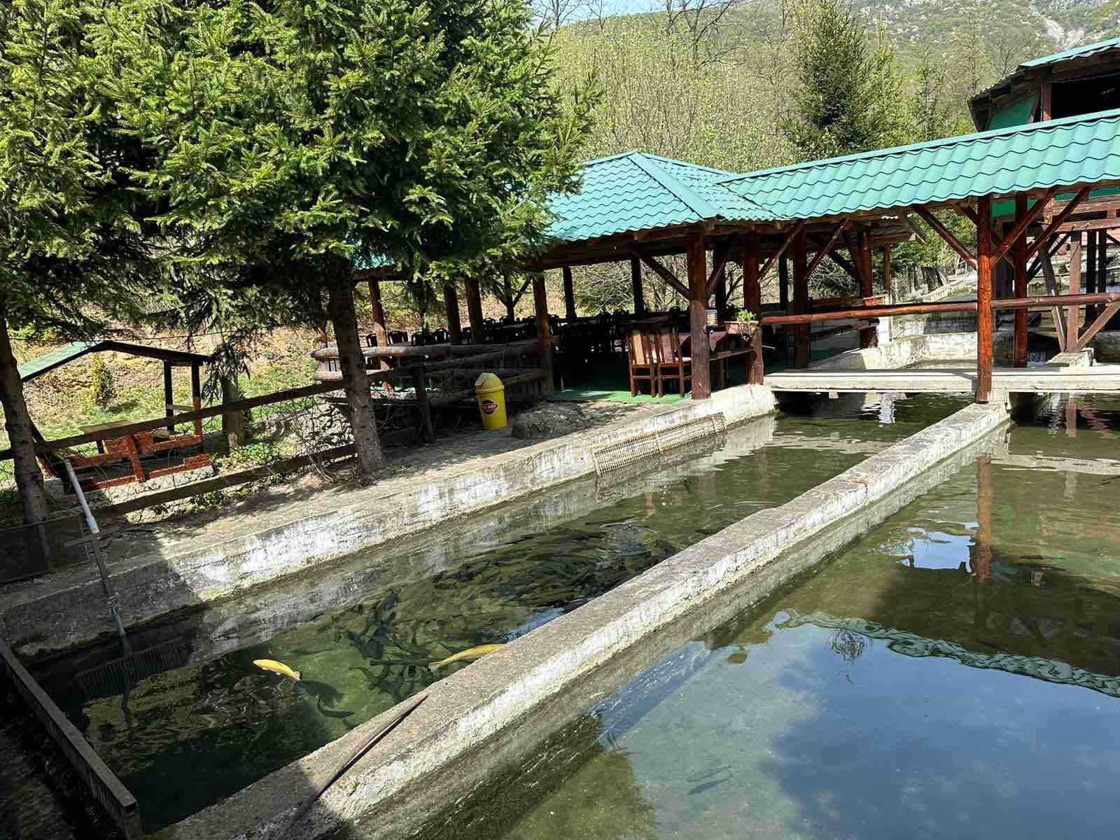 Restoran "Žubor Vrela" Lisine