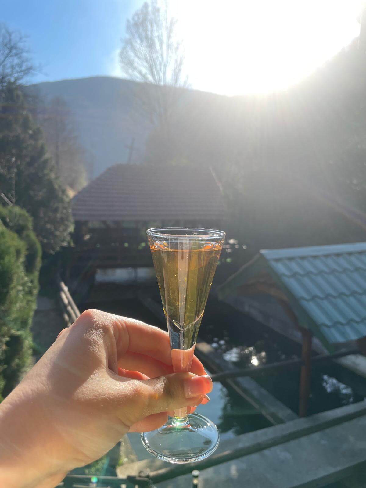 Restoran "Žubor Vrela" Lisine