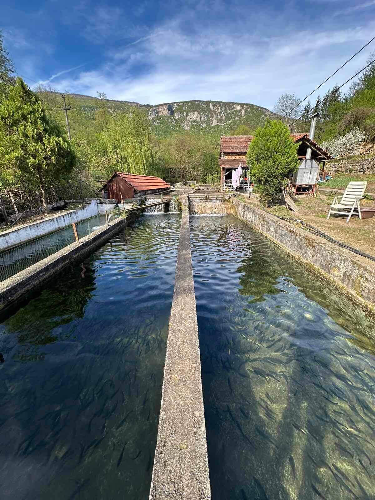 Restoran "Žubor Vrela" Lisine
