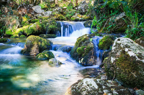 Žubor Vrela Lisine - Izvor